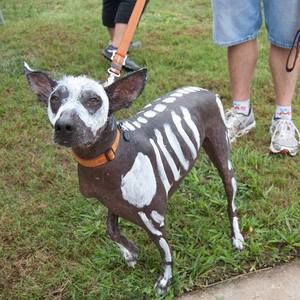 Meet your Posher, Scott